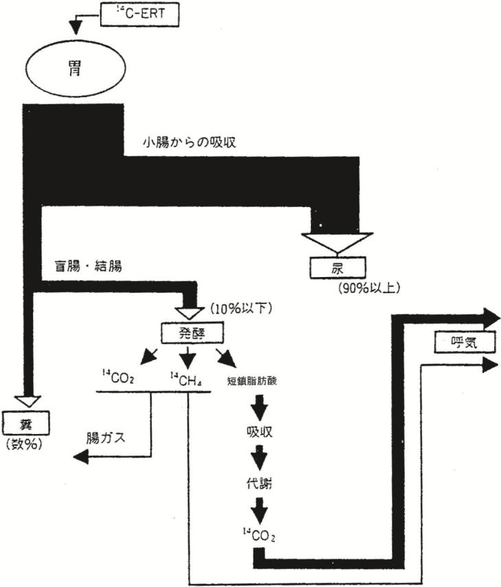 圖片1.png