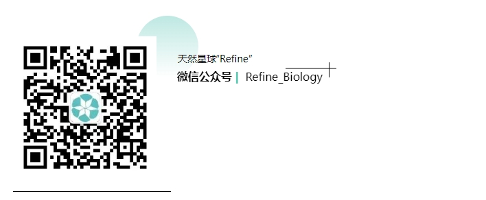 微信截圖_20231229132246.png